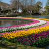 虹の架け橋