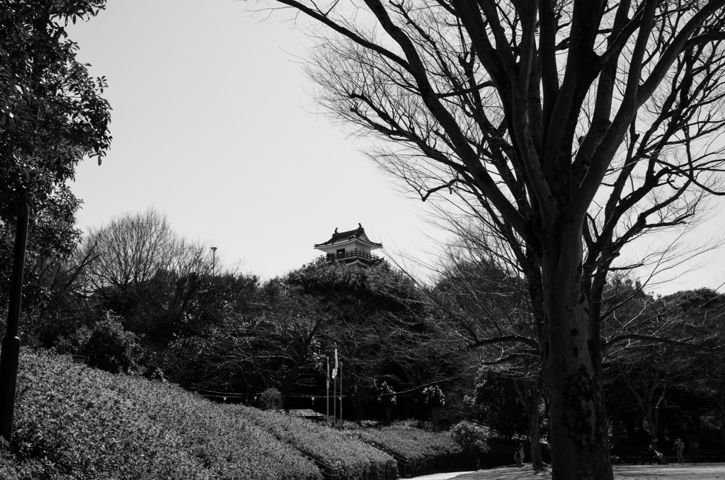 城のある風景