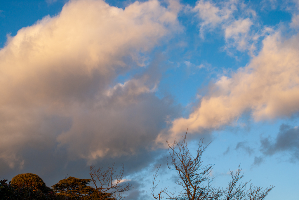 冬の雲