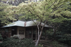 茶室