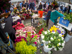 Farmers Market in Oregon