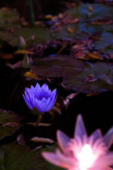 P1002026