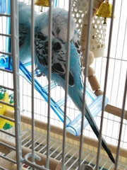 寝言が聞こえています。(。-ω-)zzz. . .（笑）