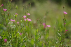 皆んなで姿勢正しく！！