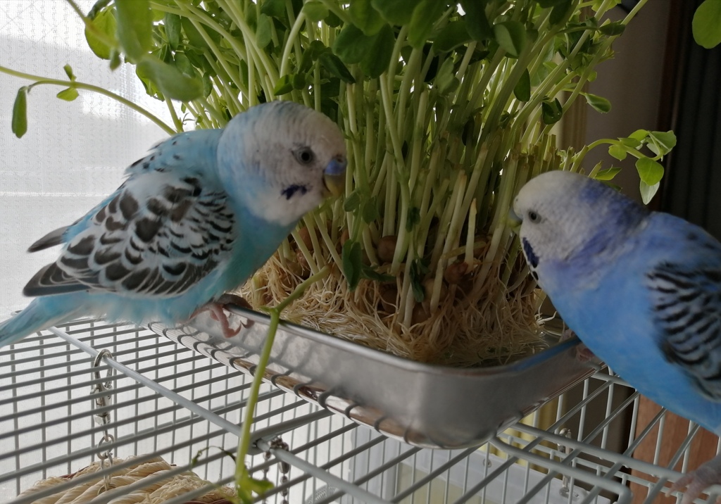 仲良く食べようね！！