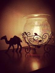 夜はゆっくり休んでね。