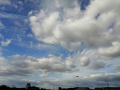 12月1日の空。