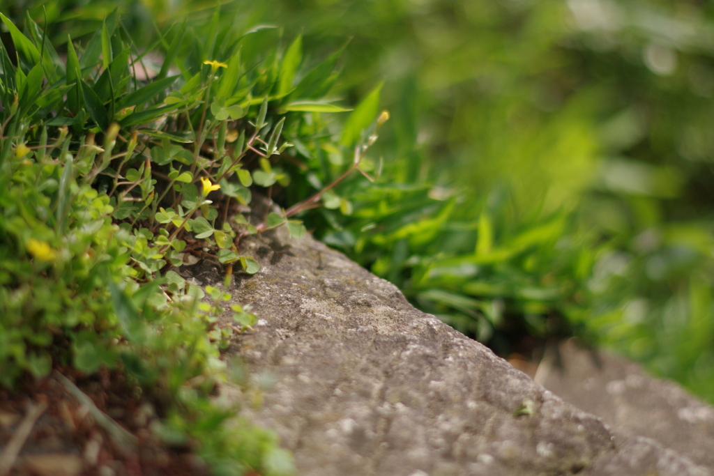 石垣の階段、気を付けて降りてね。