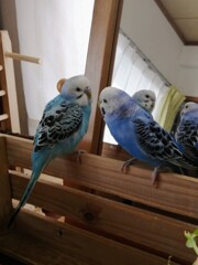 少しずつ距離が近く