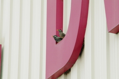 誰を待ってるの？