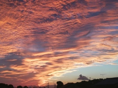 夕空に感動。( ；∀；)