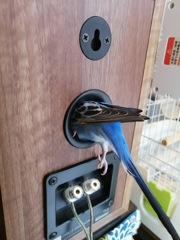 お部屋探しの真っ最中（忙）