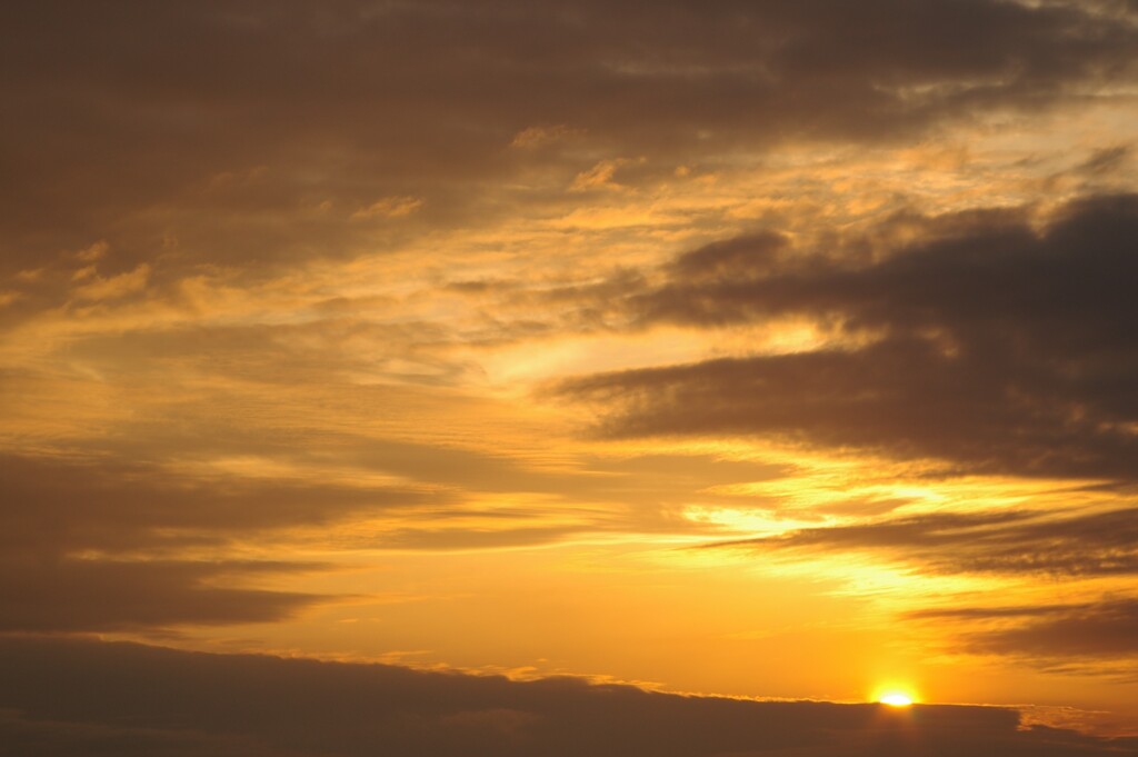 きれいな夕陽が見れました。
