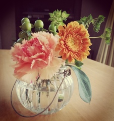 お部屋を明るくしてくれる。