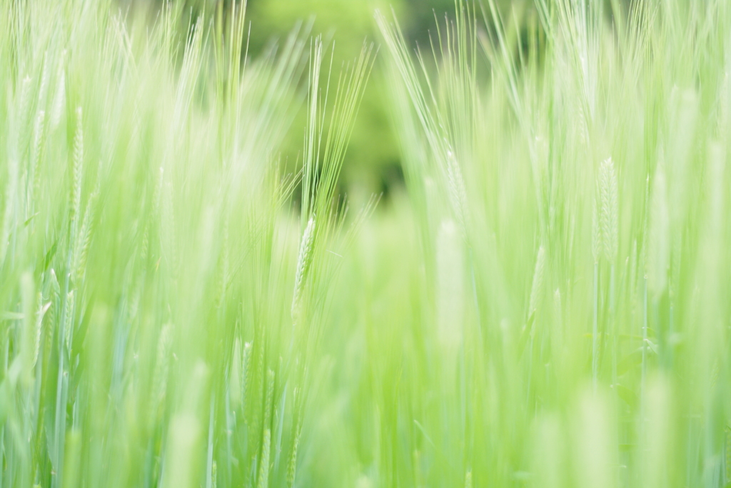 先が見えないよ。