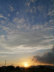 １日頑張れた気分になれる