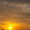 夕空の景色に騒音が鳴り響く。