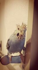 ハードロック系にヘアアレンジ？！