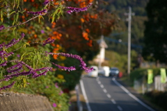 田舎道も安全運転でお願いします。