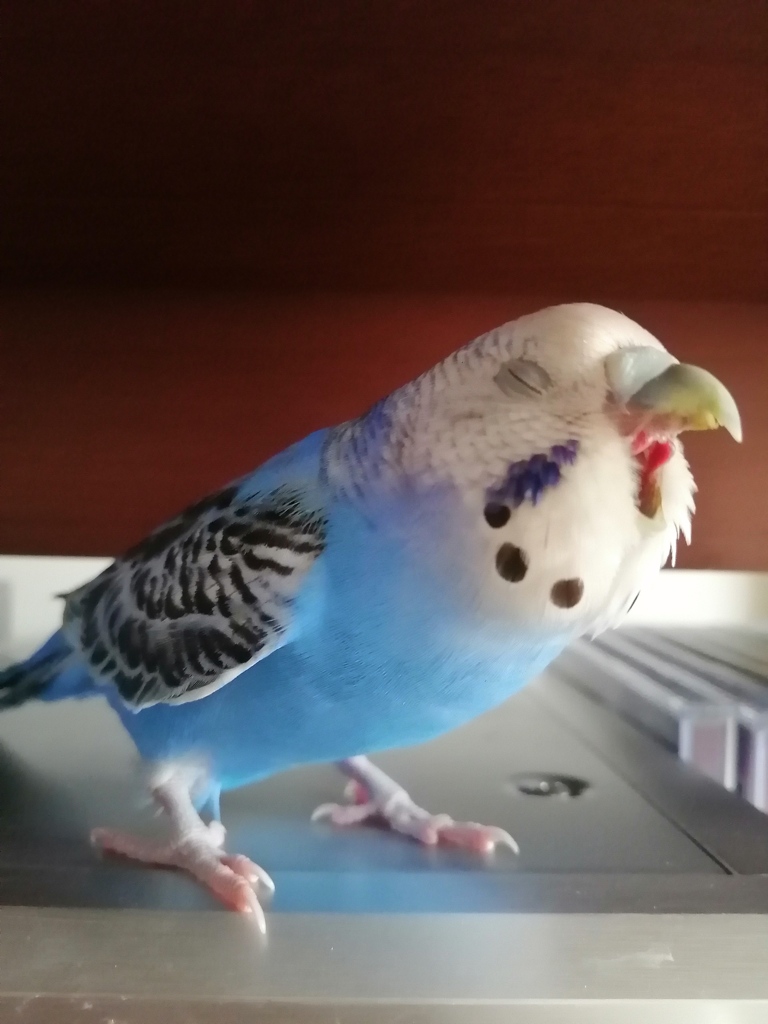 あ・く・び。