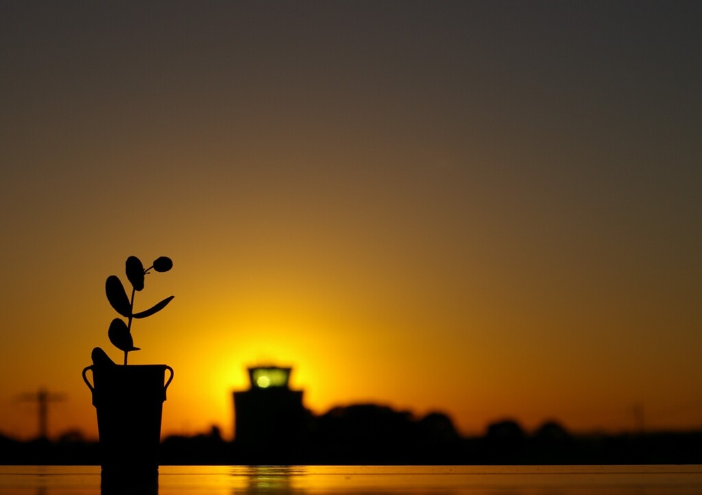 また来年。