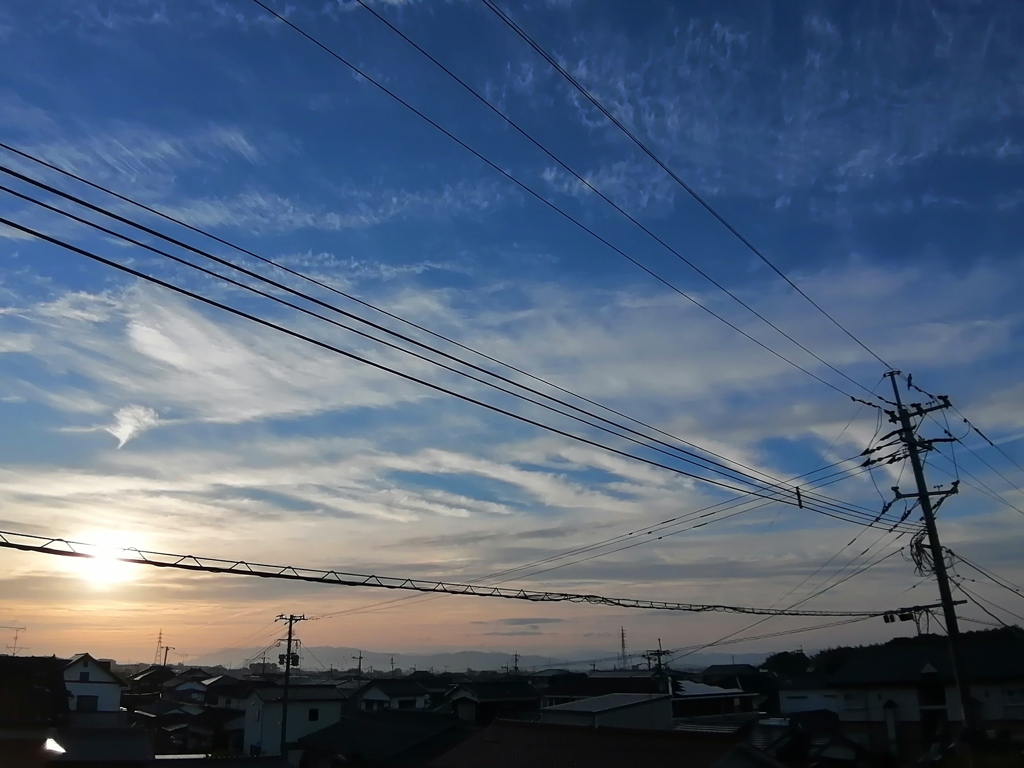 今日はいいお天気になりそう。