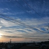 今日はいいお天気になりそう。