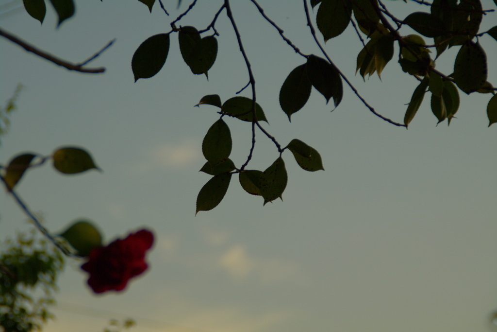 それぞれの役割。