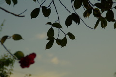 それぞれの役割。