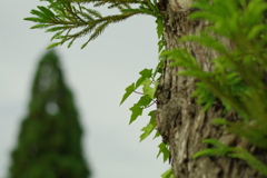 成長の邪魔になっているよ。