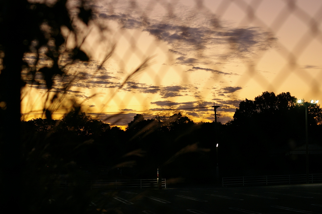 フェンス越しから見る夕暮れ。