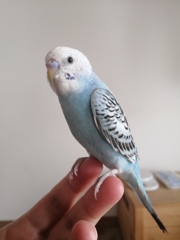 はじめまして。