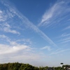 我が家の窓辺から朝の空。