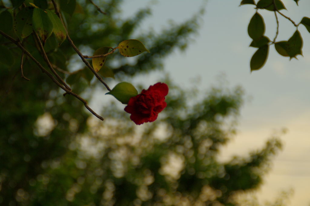 それぞれの役割。