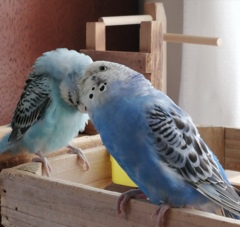 見てるところが違うね。(^o^;)