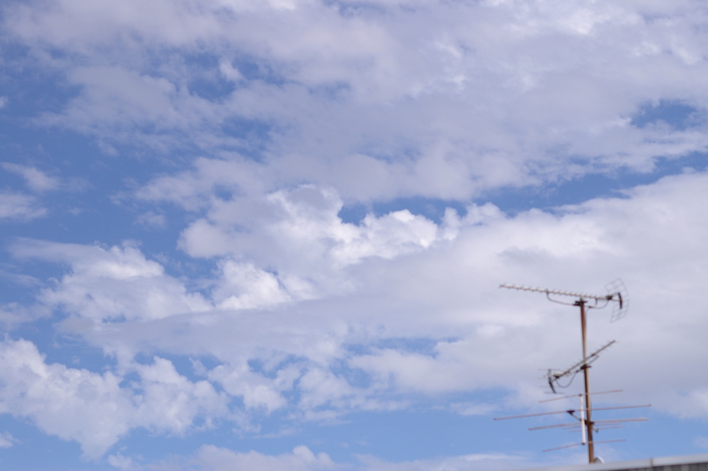 柔らかな空。