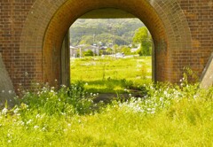 トンネルの向こうは？