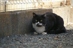 じ～っとして固まってます