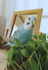 満足そうなお顔です。(*^^*)