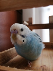 片足収納しておくつろぎ。