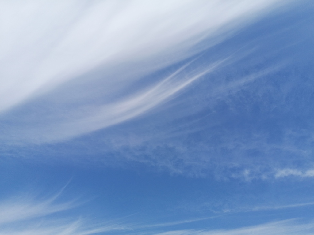 爽やかな空。