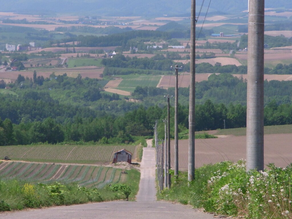 ジェットコースターのような道路。