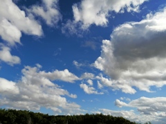青空見えてスマイル。(◔‿◔)