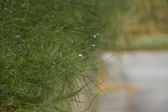 雪が降って寒い日。