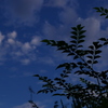 朝の空を見上げて。