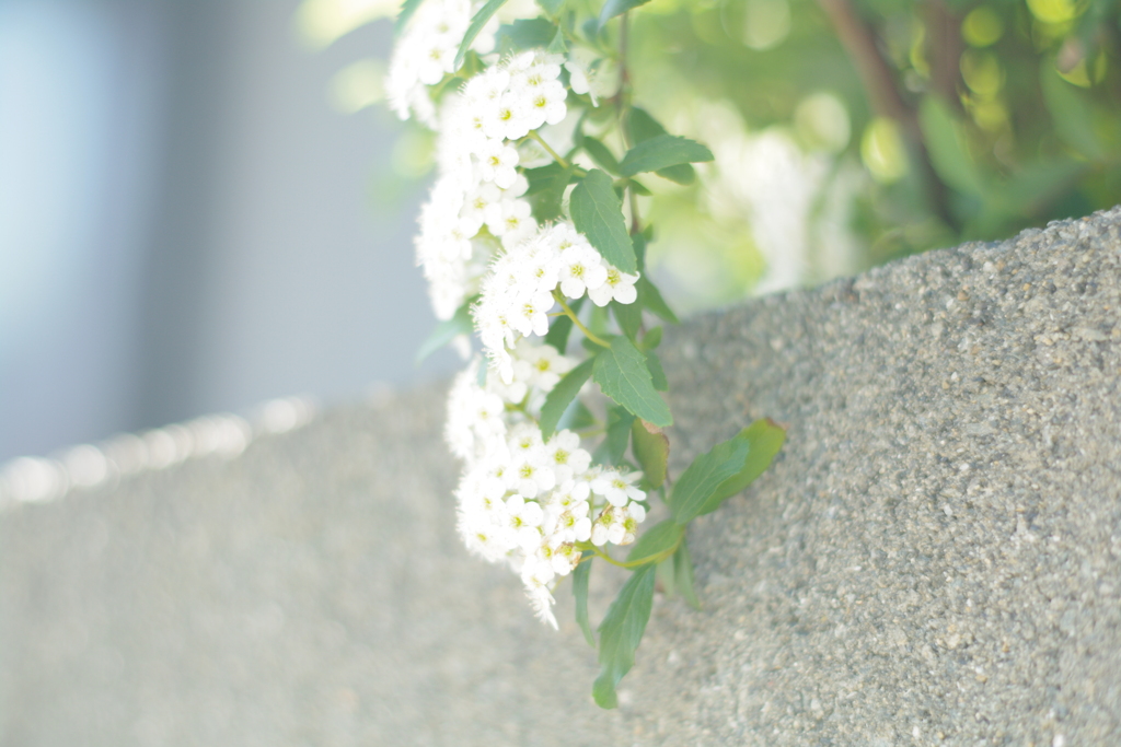 柔らかく控えめに。