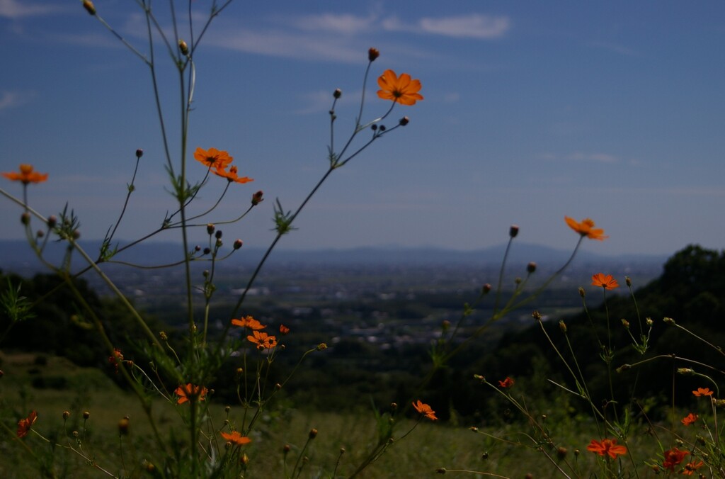 さらば9月。