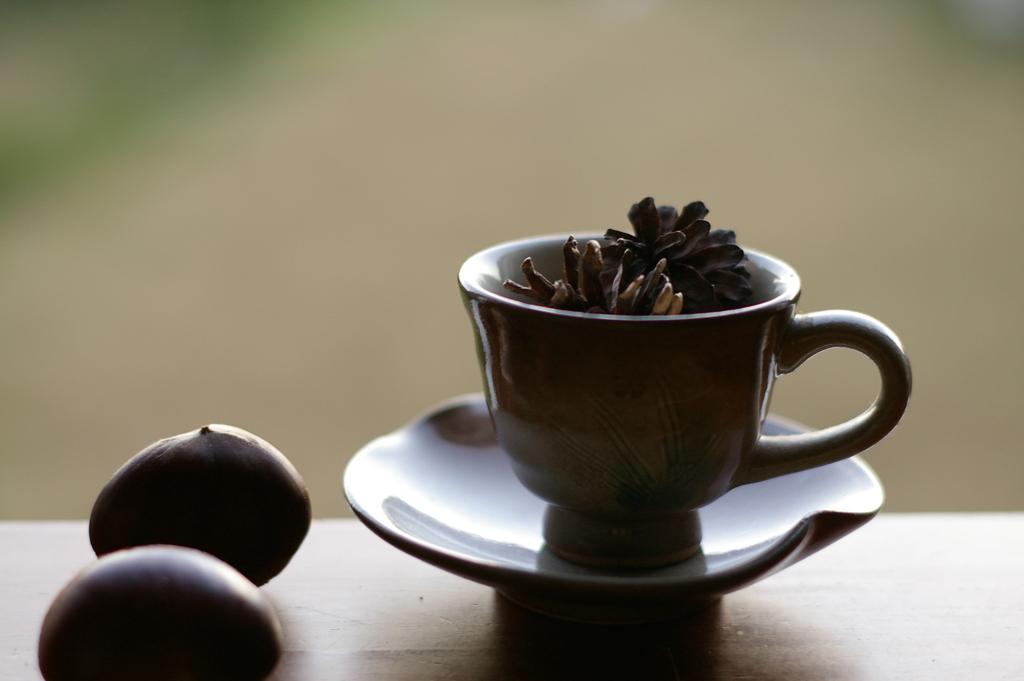 まつぼっ栗coffee？？