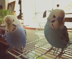 何かの危険を感じてます。