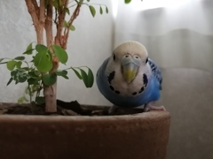 カメラ目線（笑）